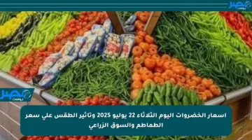 أسعار الخضروات اليوم الثلاثاء 22 يوليو 2025 وتأثير الطقس على سعر الطماطم والسوق الزراعي